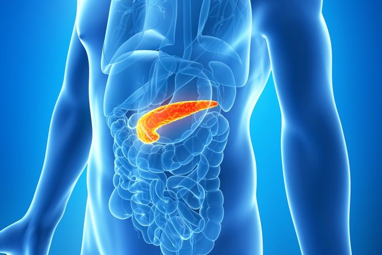Pancreas Condition Pancreas Condition