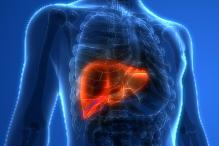 types of liver diseases